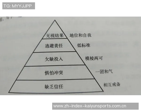 重庆羽毛球队在邀请赛中的团队协作表现分析与点评